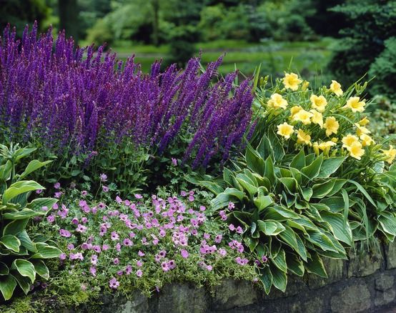 LOW MAINTENANCE LANDSCAPING - PLANTS TO MAKE LIFE EASIER