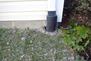 Chesapeake Downspouts and Dry Wells