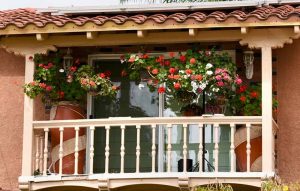 Hanging baskets for patio areas