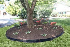 Circular flower beds in Virginia Beach