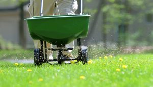 Fertilize your lawn in Virginia Beach
