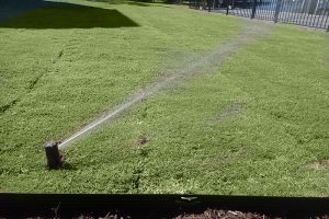 Irrigation Systems in Virginia Beach
