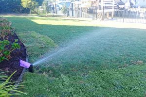 Irrigation System Repairs in Virginia Beach