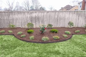 Privacy Landscaping in Virginia Beach