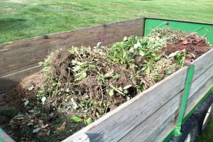 Clean up debris and dead annuals from flower beds