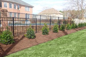Privacy Hedge Planting in Virginia Beach