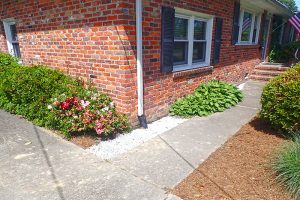 Virginia Beach Drainage Systems - Dr. Dan's Landscaping & Architectural Design