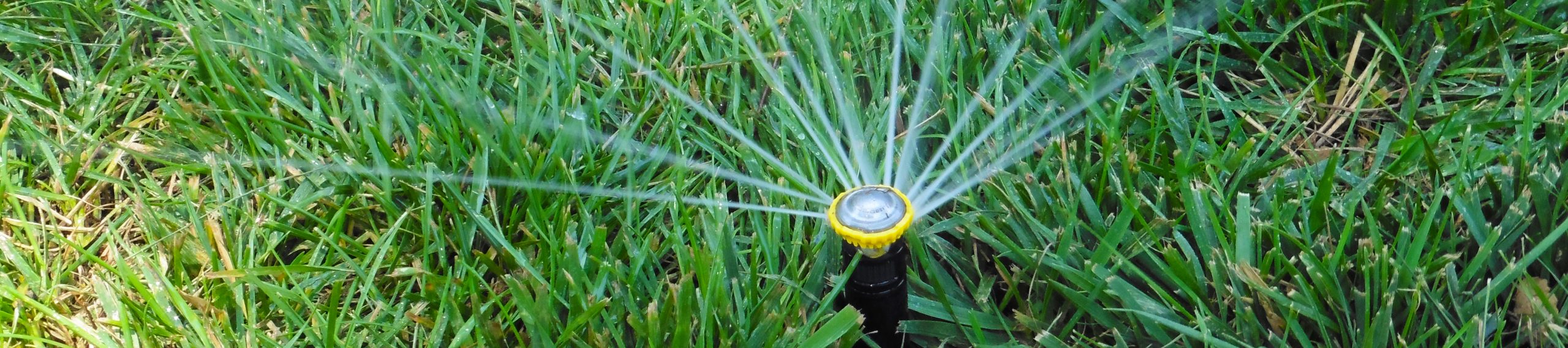 Irrigation Systems and Repairs in Virginia Beach