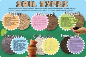 Soil Types for Landscaping