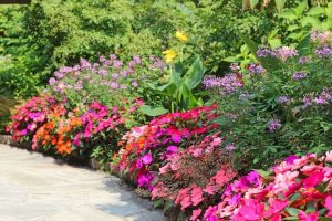 Spring Annuals Landscaping