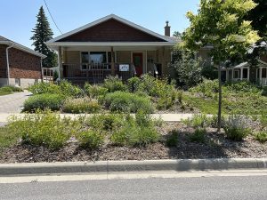 Landscaping around sidewalks and streets