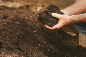 Prepare your soil for planting