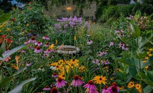 Perennial pollinator garden with birdbath for drinking and attracting birds bees and butterflies