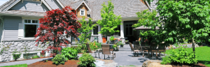 Ornamental Trees - Landscaping in Virginia Beach, Norfolk, Chesapeake