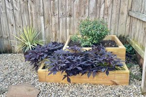 Garden Boxes for small spaces in Norfolk, Chesapeake and Virginia Beach