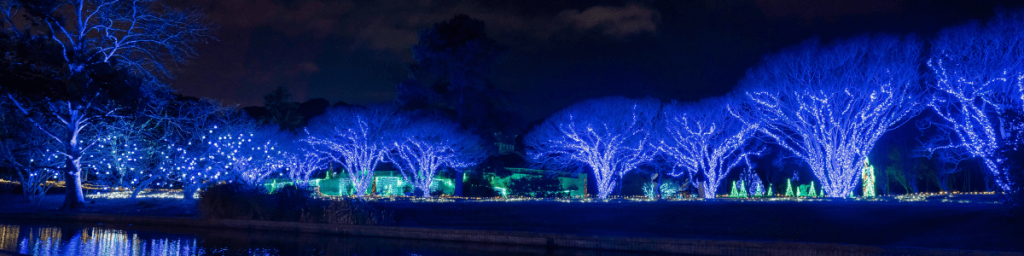 Holiday Season Norfolk Botanical Gardens
