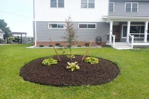 Landscaping in Norfolk