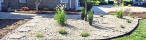 xeriscape designs