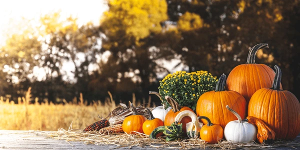 Outdoor living ideas for fall
