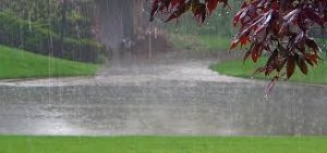 yard drainage in the fall