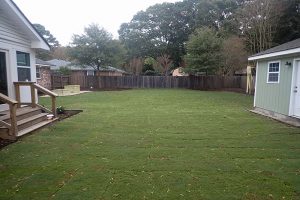 Sod installation in Virginia Beach