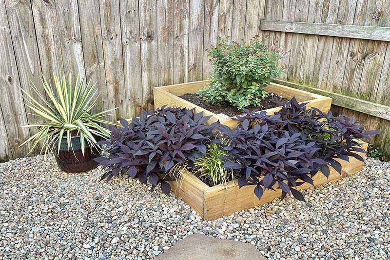 Landscape design and installation