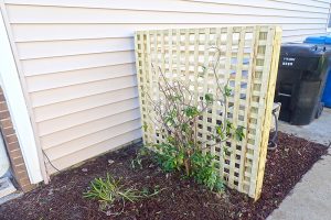 privacy screens Virginia Beach