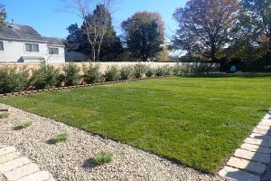 Sod Installation - Virginia Beach, Norfolk, Chesapeake