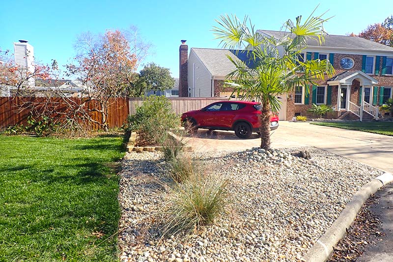 Virginia Beach Xeriscapes